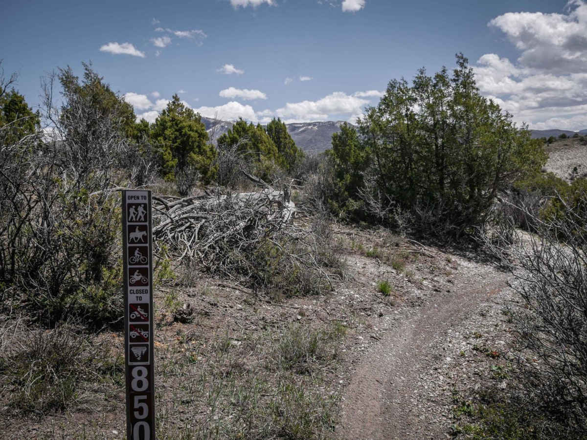 8501 trail photo