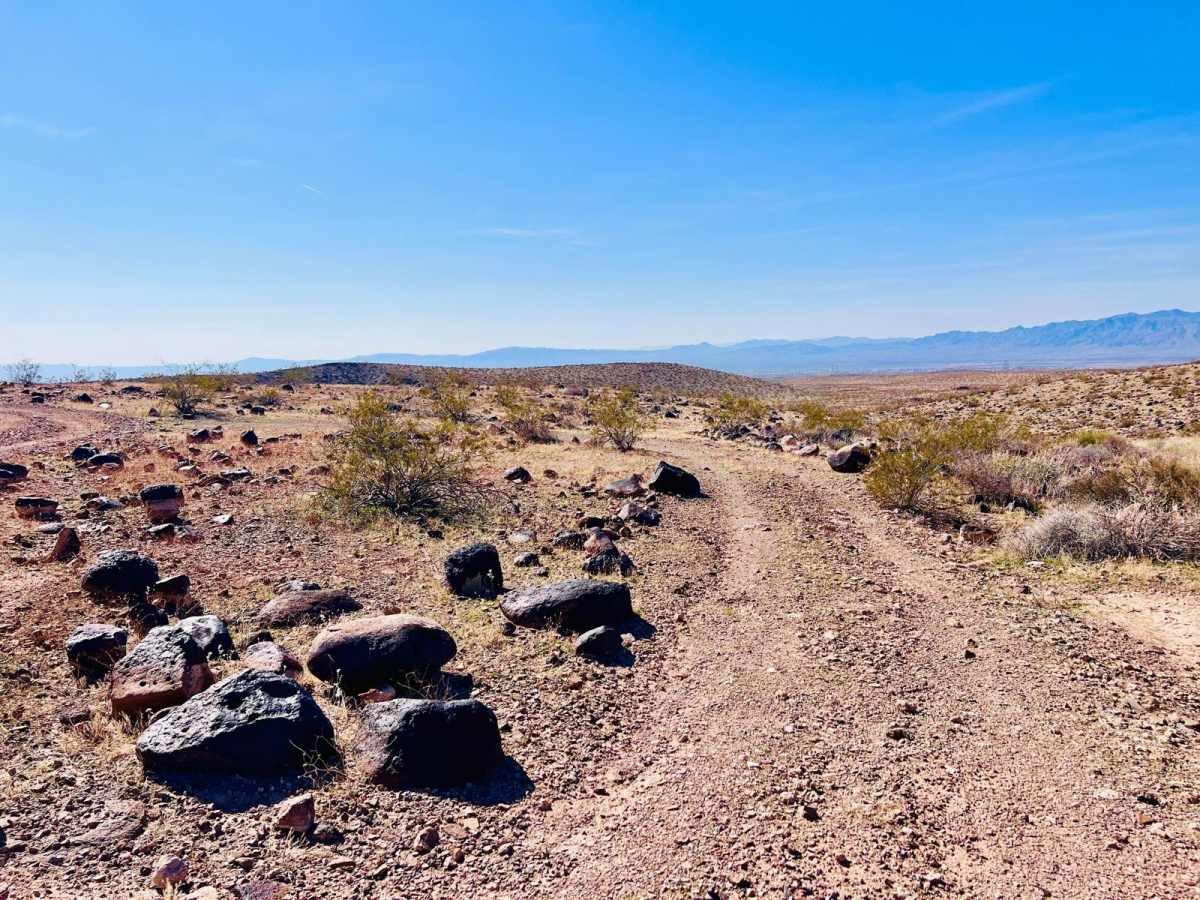 Wheeler Wagon Ridge Dispersed Camps photo 6