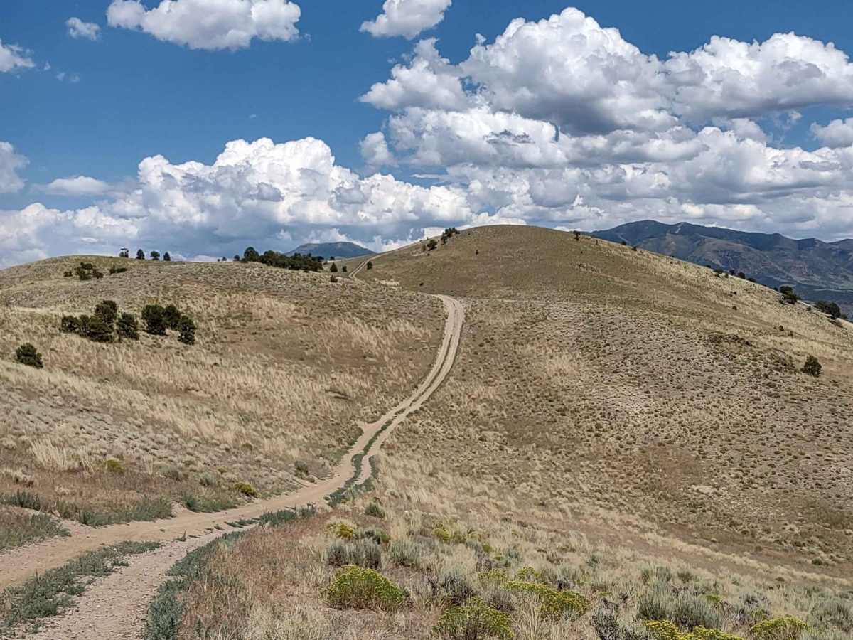 Over Hill, Over Dale trail photo