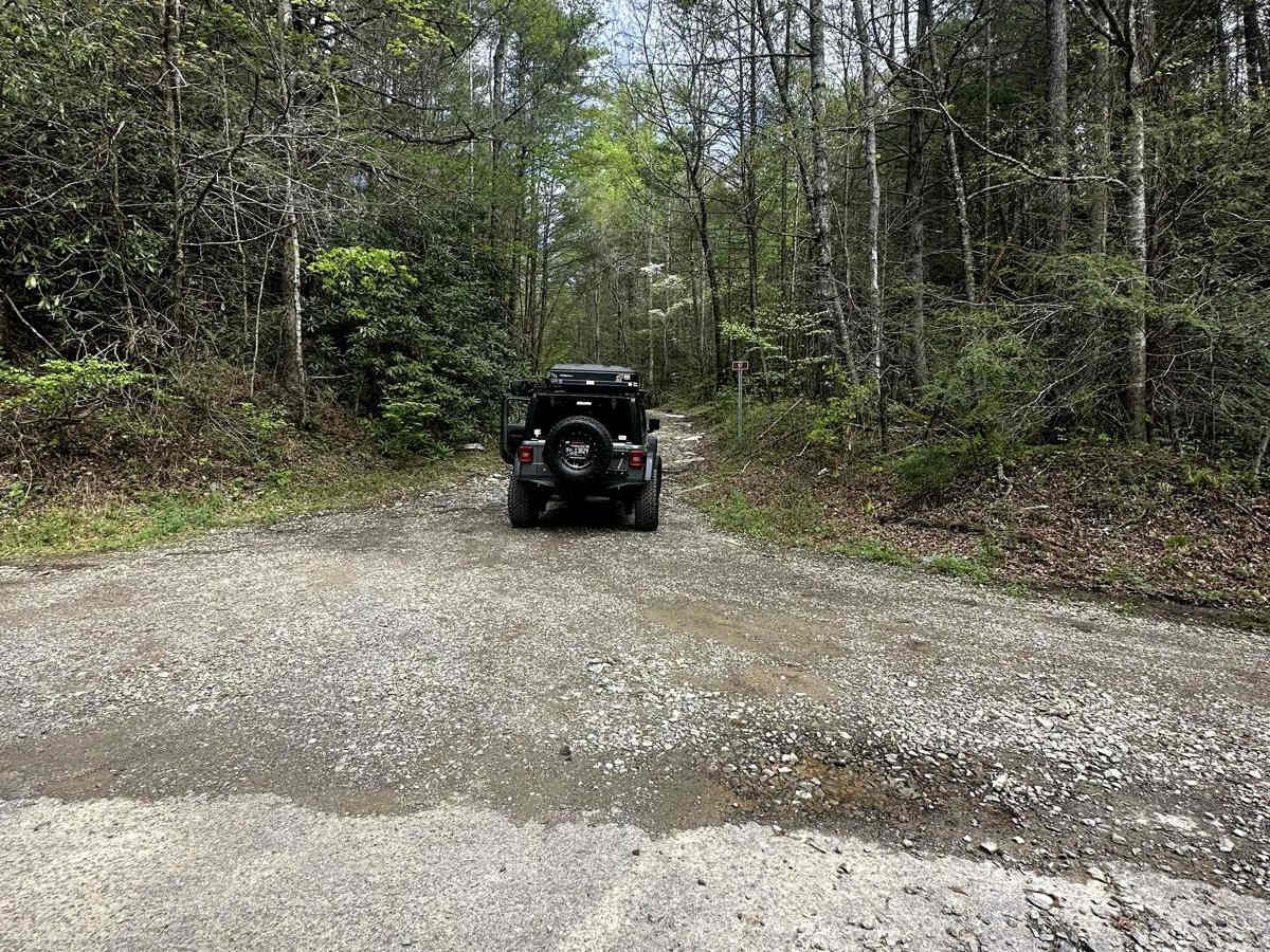 Cane Creek Road - FS 57 photo 5
