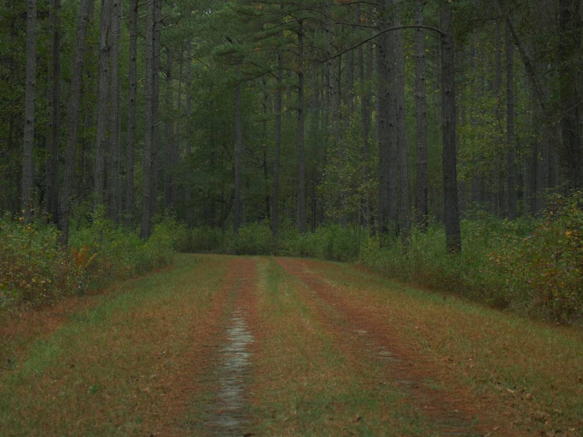 Donnelly WMA PT.4 photo 5