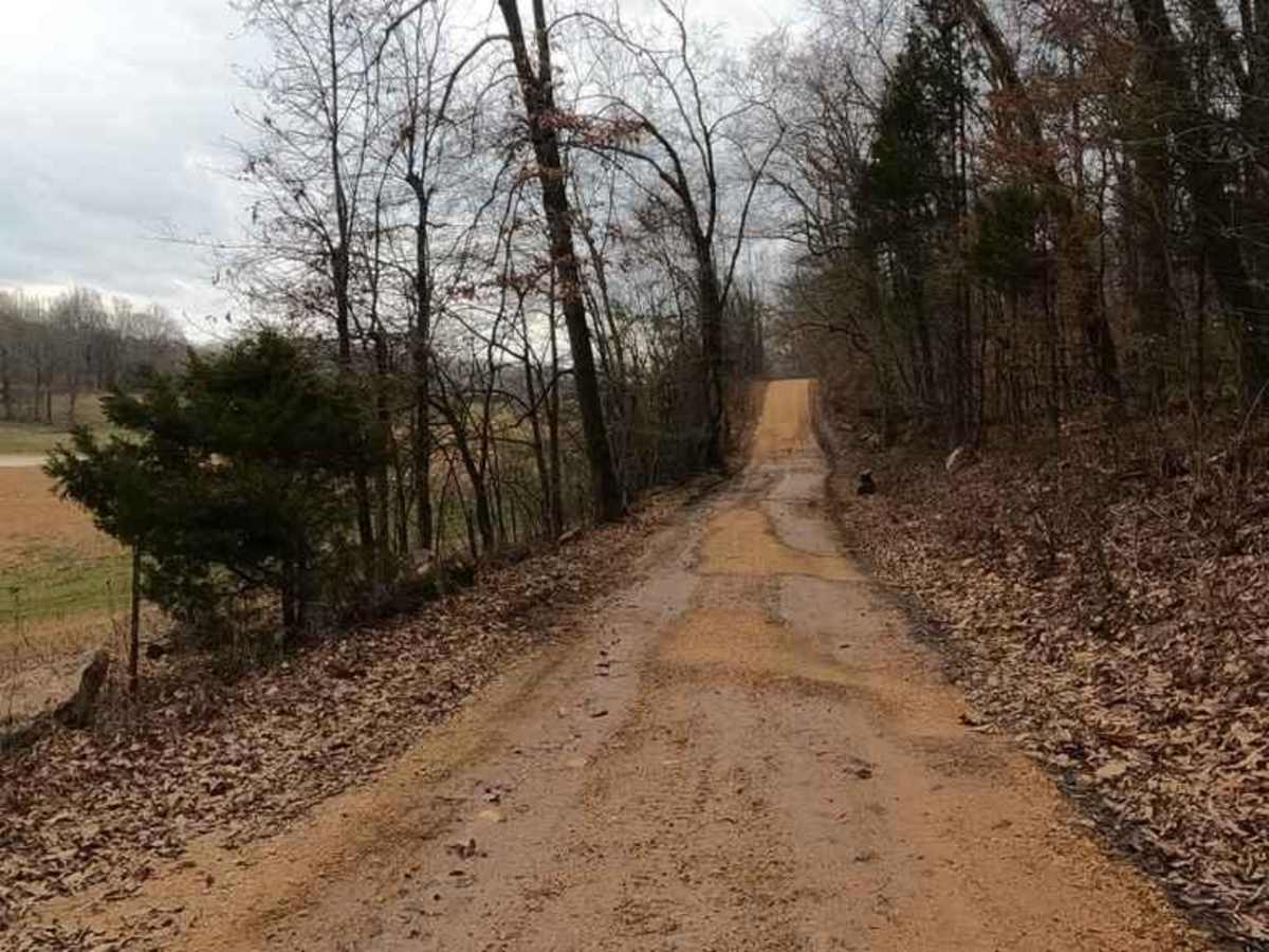 Brush Creek Road photo 6