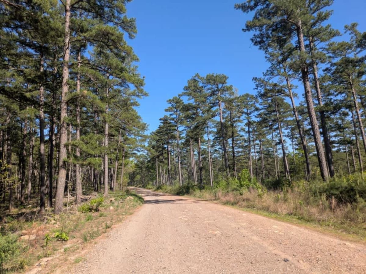 Johnson Creek Road photo 2