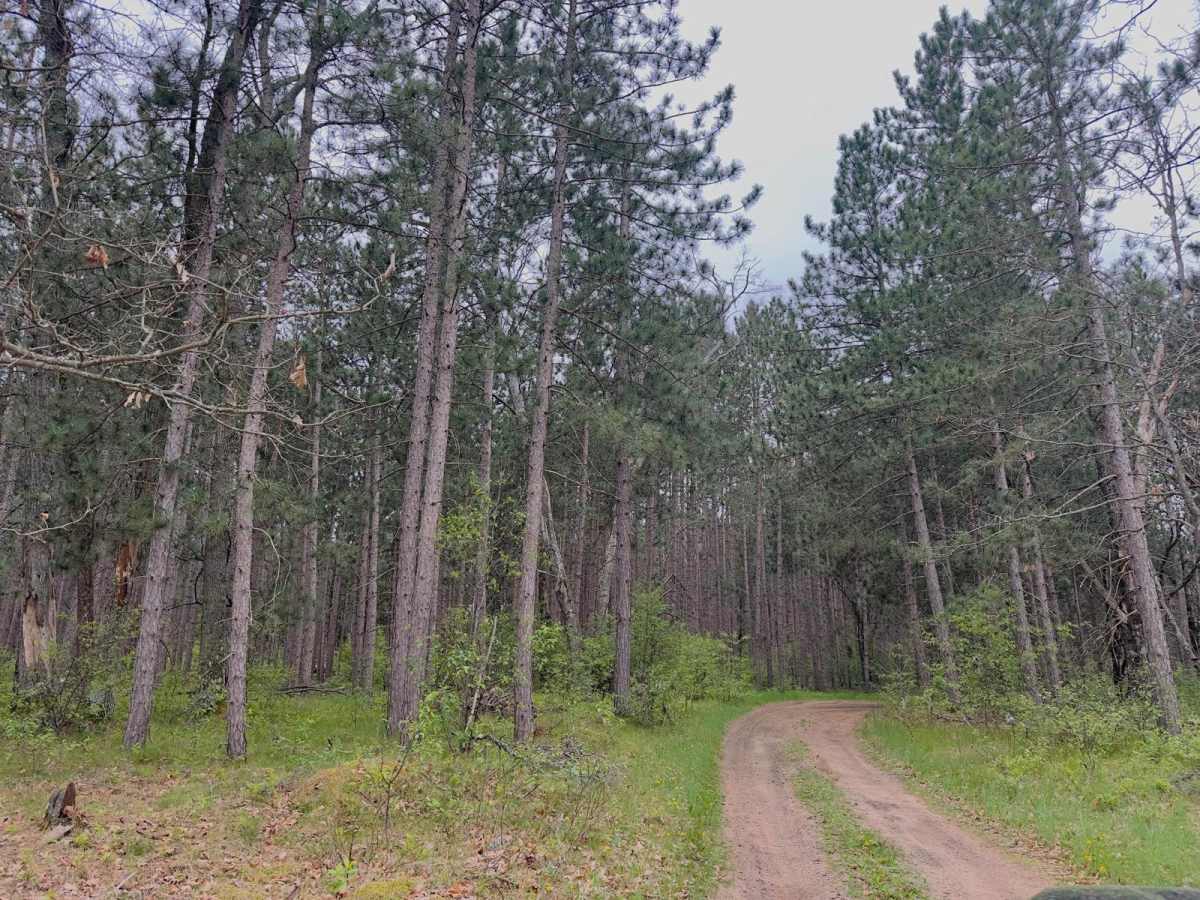 FS 8608 trail photo