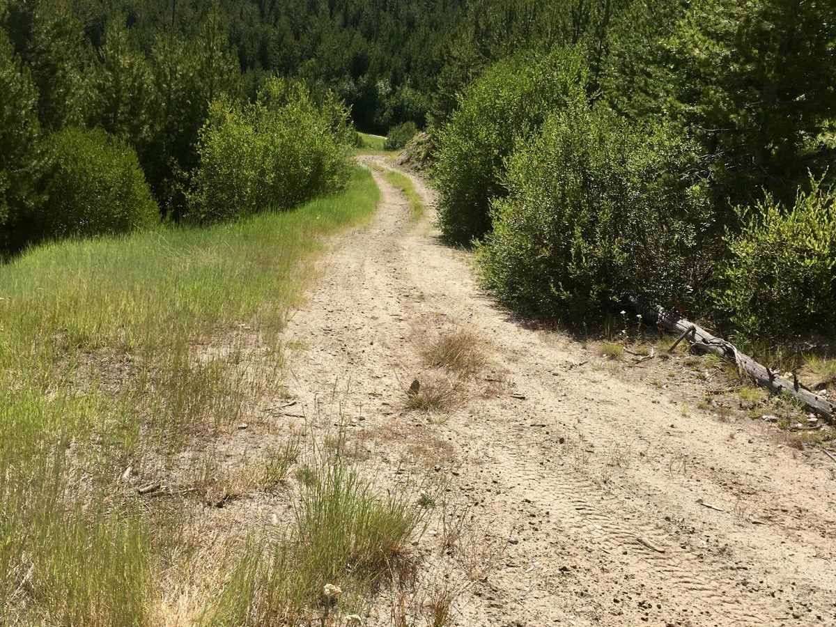 Cold Spring Hill Road photo 4