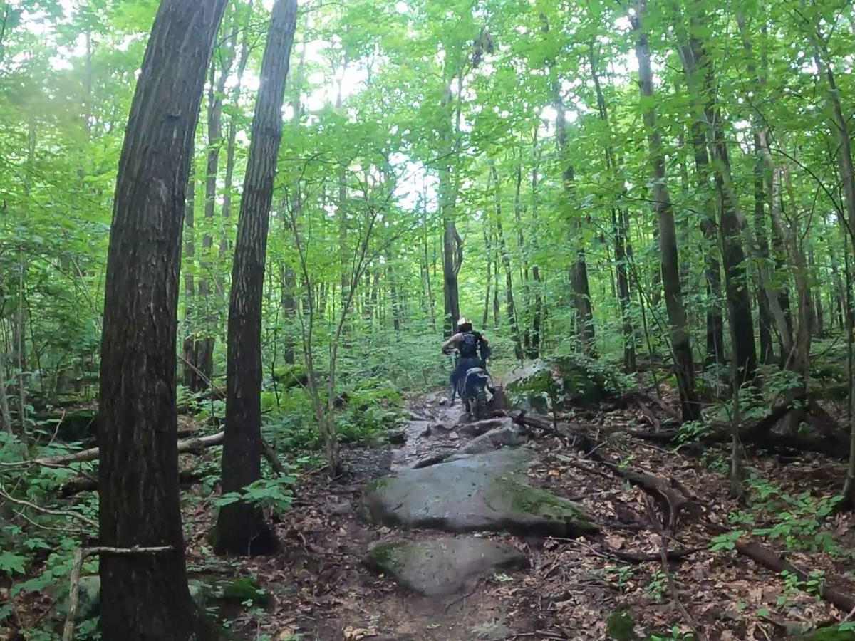 Mountain Ridge ATV Park Singletrack CF photo 3