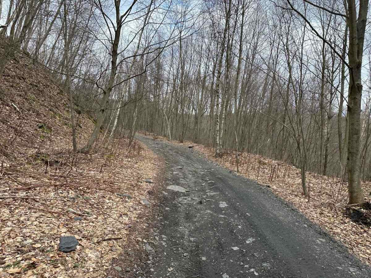 Pennsyl Tucky Highway trail photo