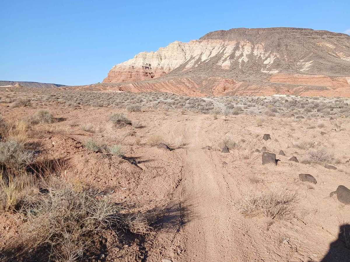 Mini Canyon Tracer photo 4