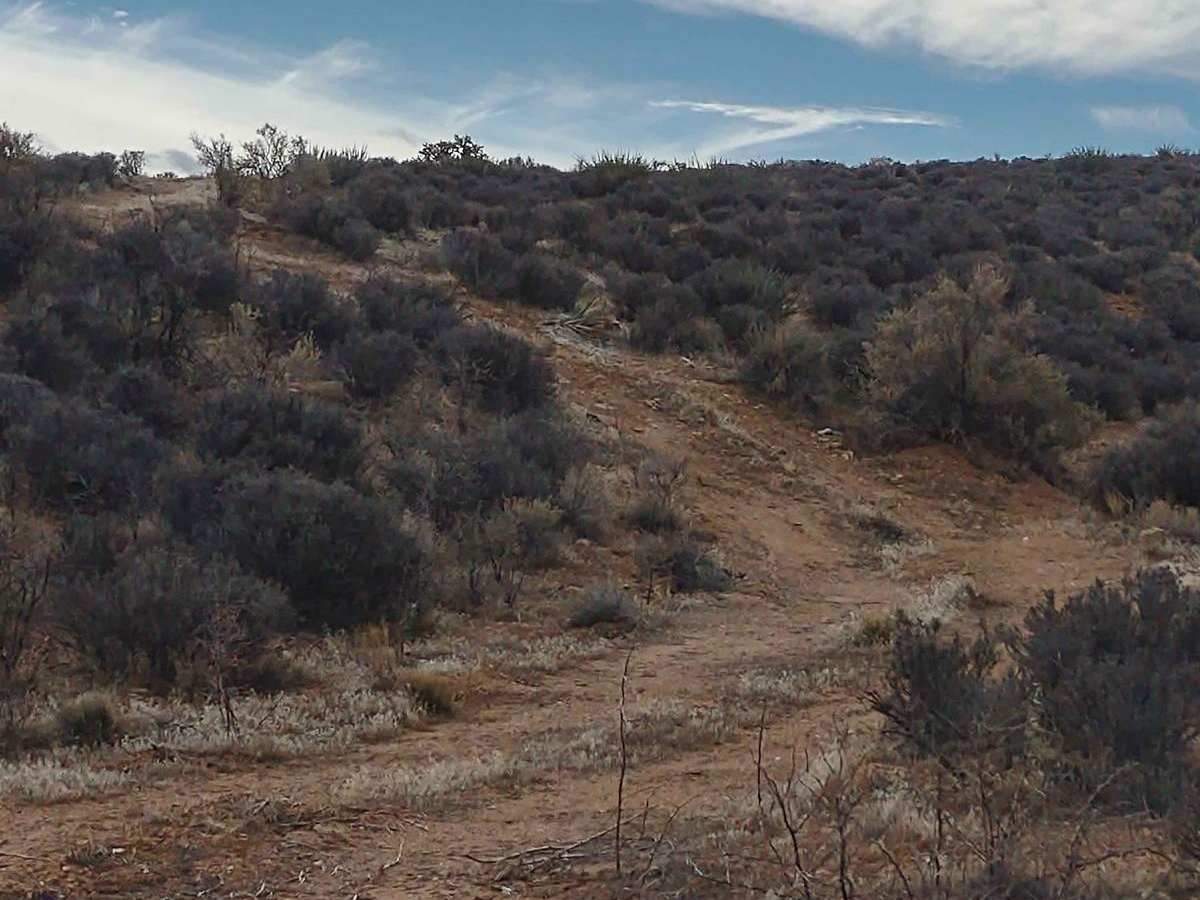 Yucca Way Spur photo 4