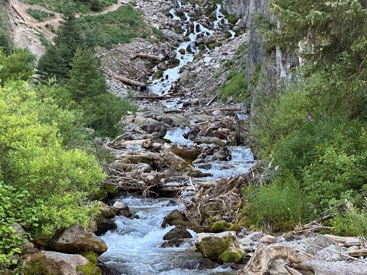 Swift Creek trail photo
