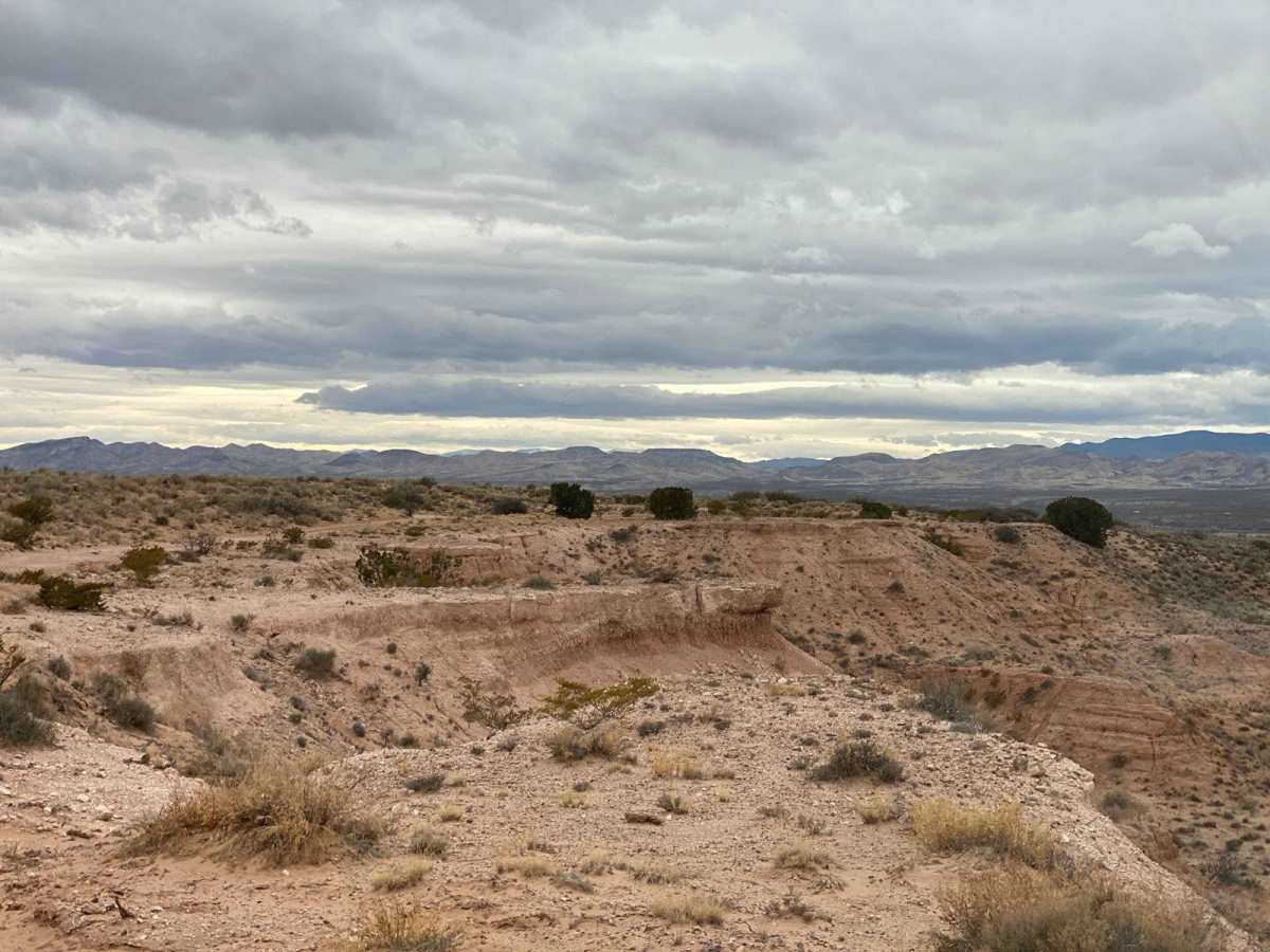 Bosequecito Desert Crossing photo 6