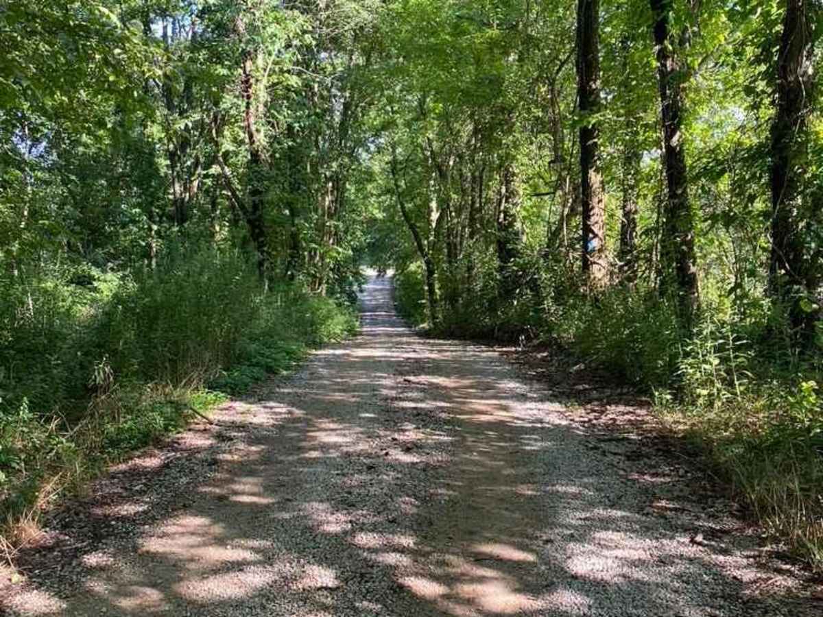 General Watkins Cemetery Road photo 4