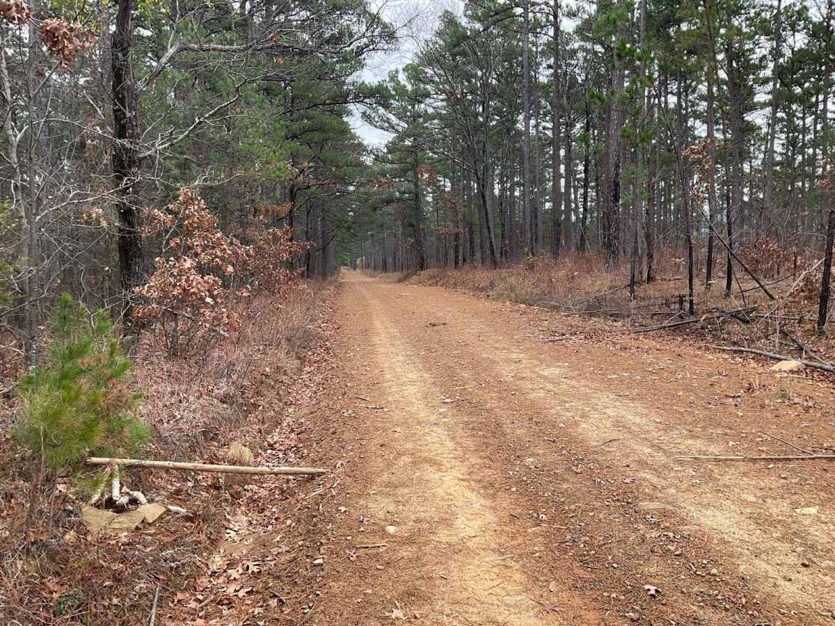Tram Ridge Trail photo 2
