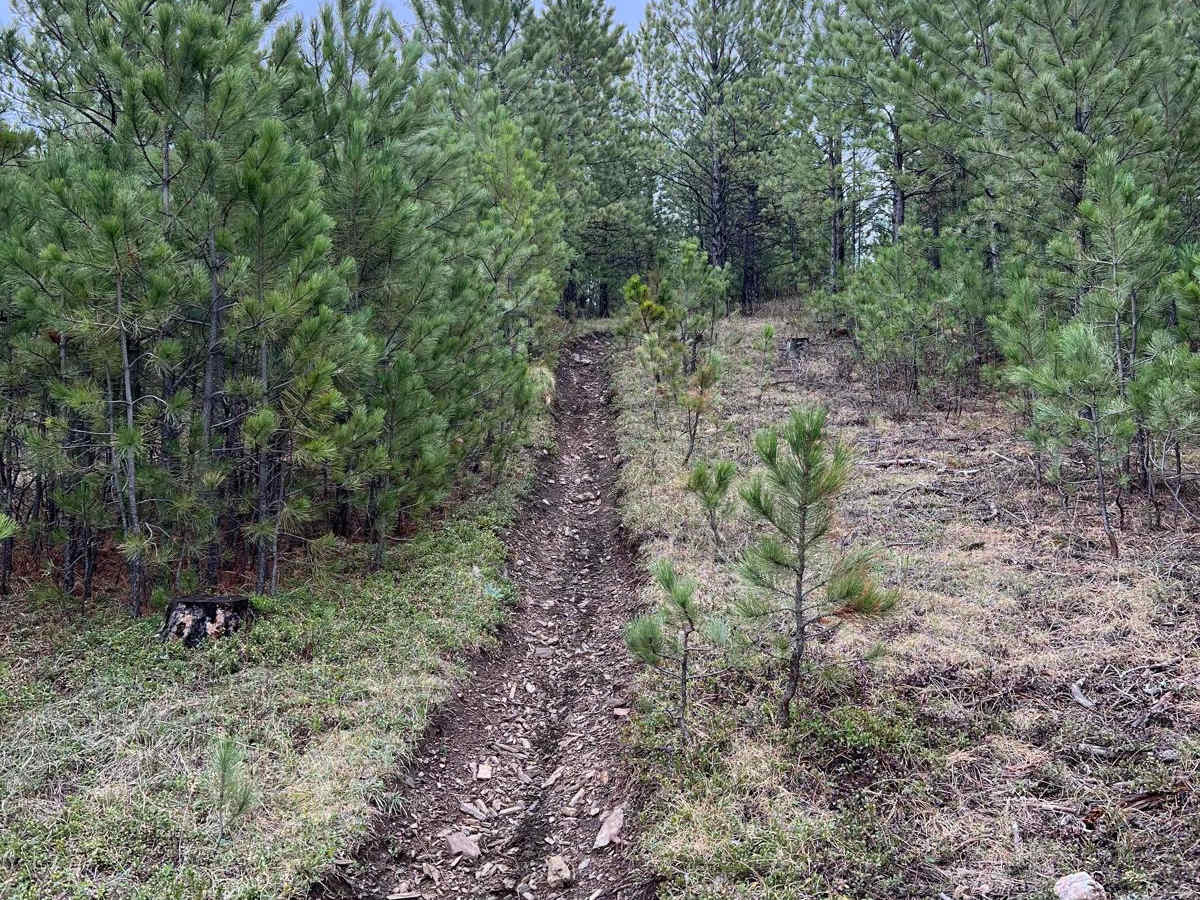 Crystal Mount Single Track photo 2