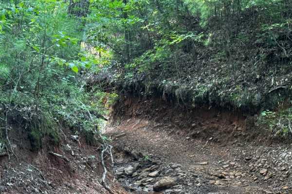 Spider Ravine