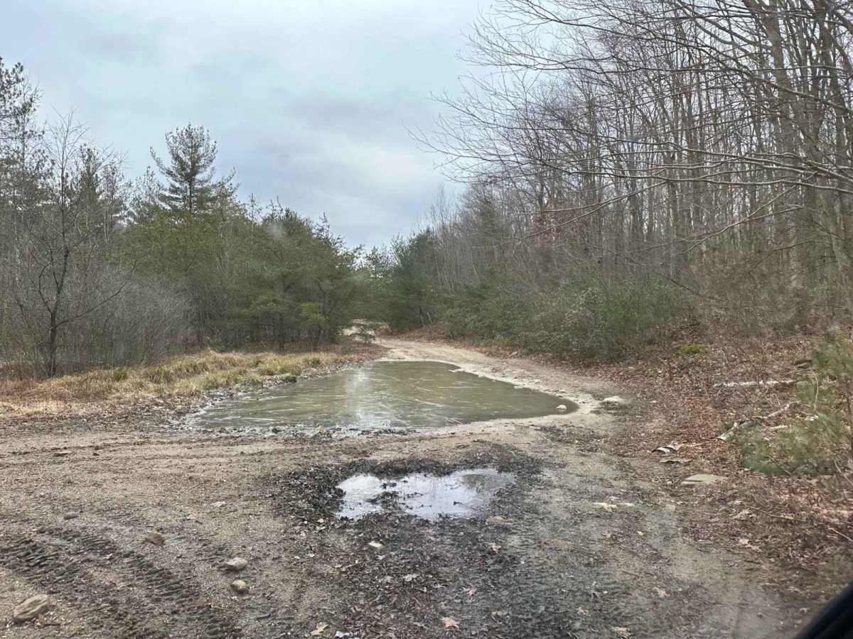 Locust Gap 23 trail photo