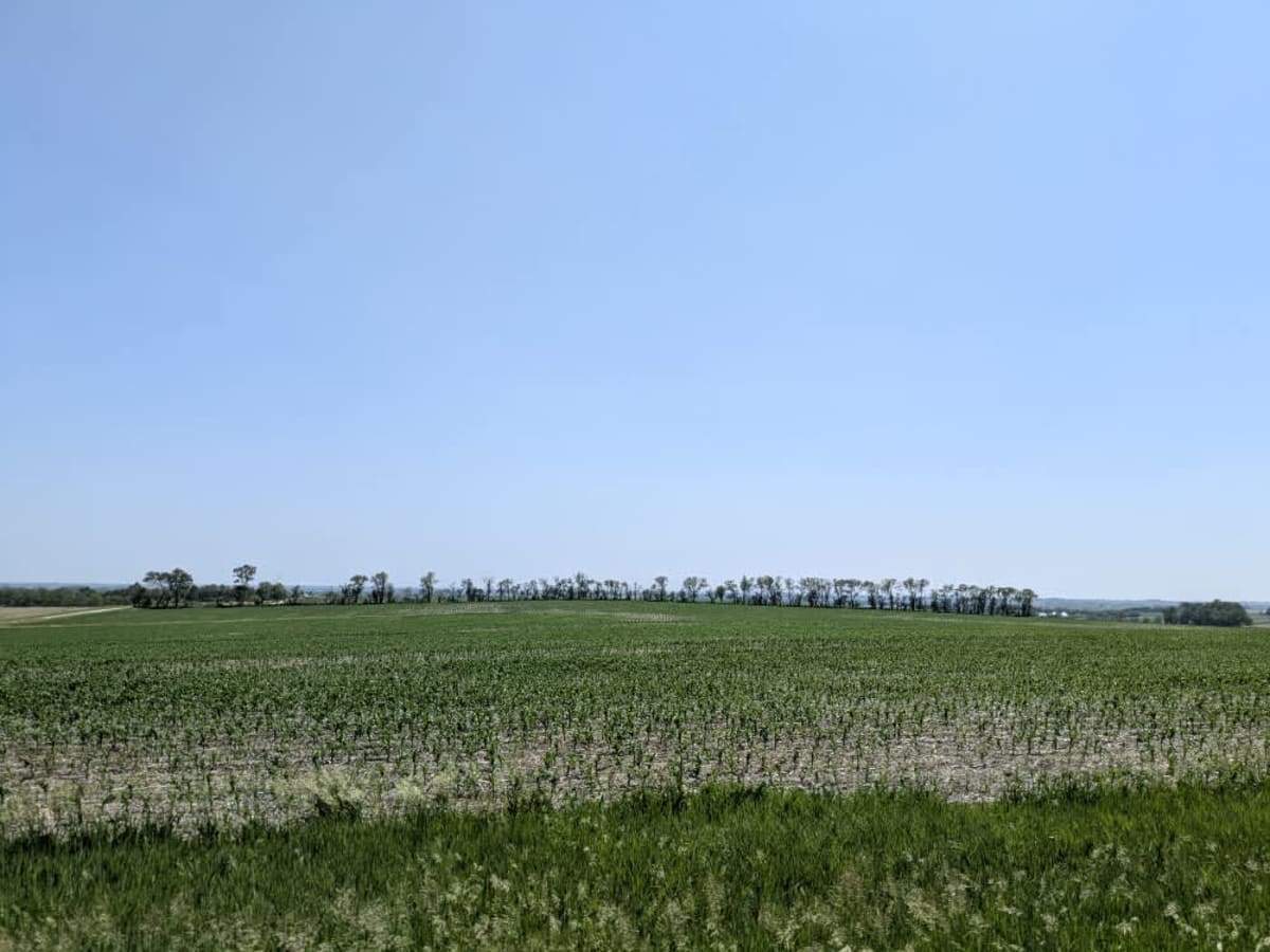 M Road photo 5