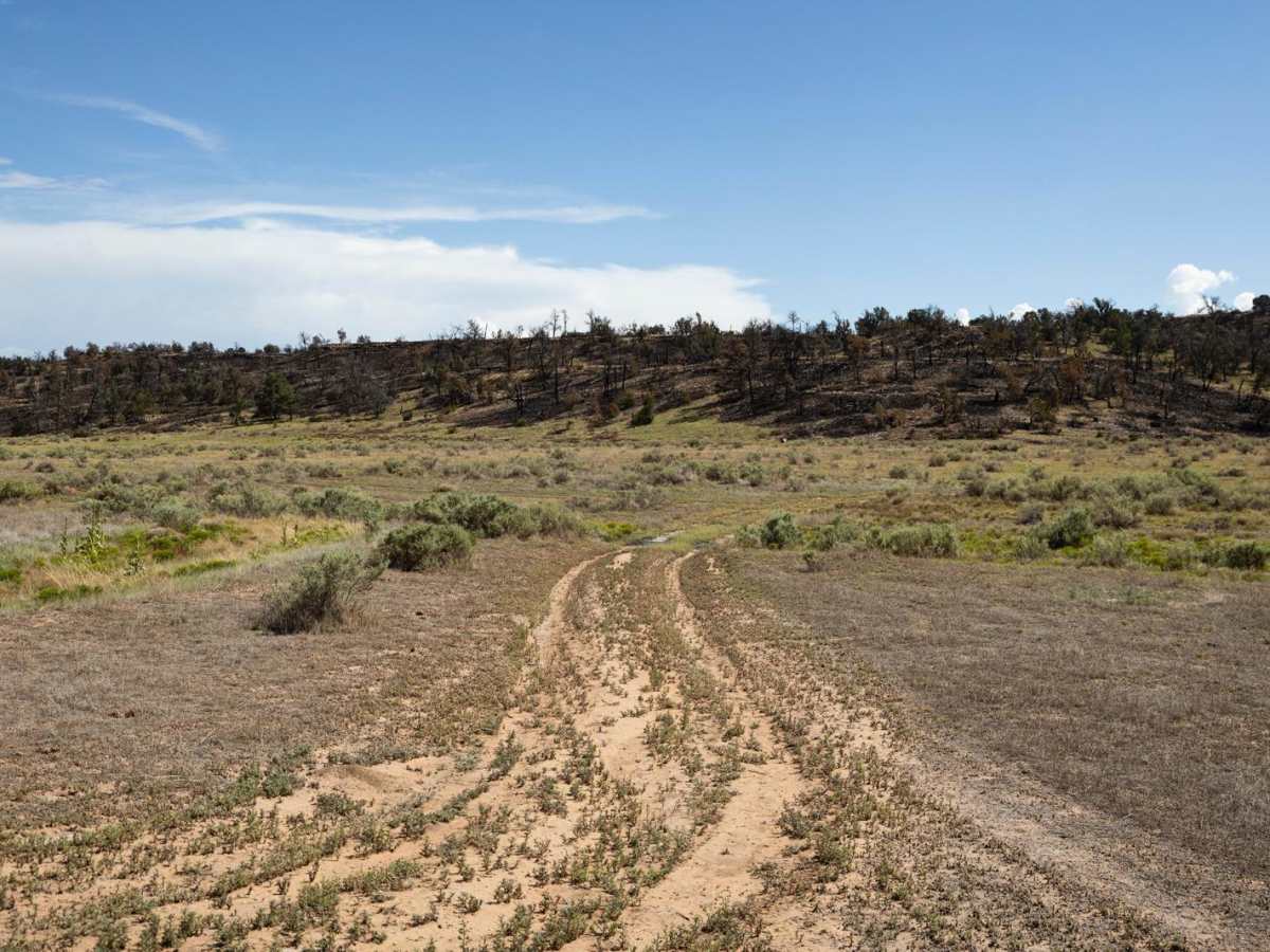 Rabbits Edge trail photo