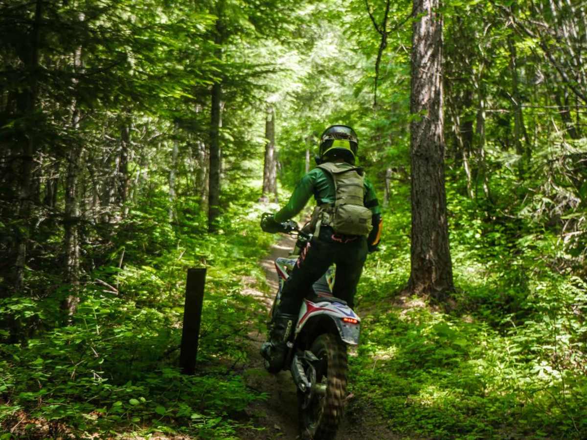 East Fork Meadow Creek No. 224 (Part 2) trail photo