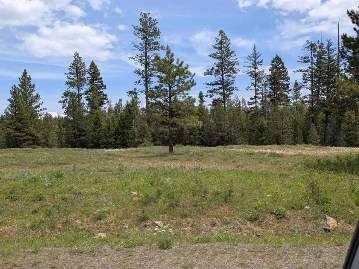 Wellamockin Road North NF46 photo 5