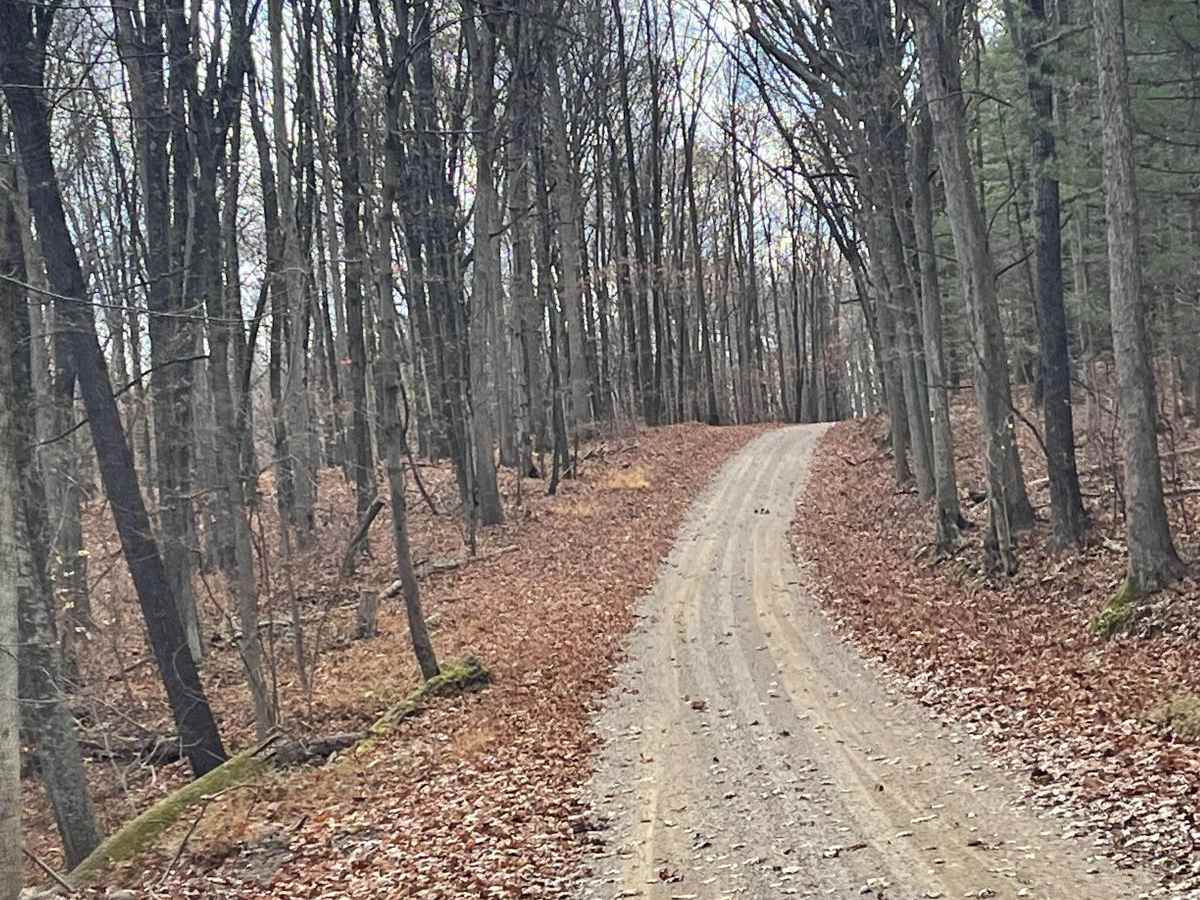 Jug Run to Girl Scout Camp trail photo