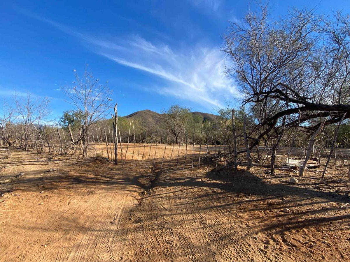 Rancho Pintado Road photo 6