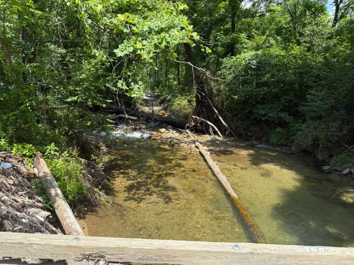Globe Road trail photo