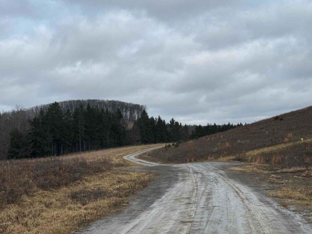 East Slab Run Road photo 3