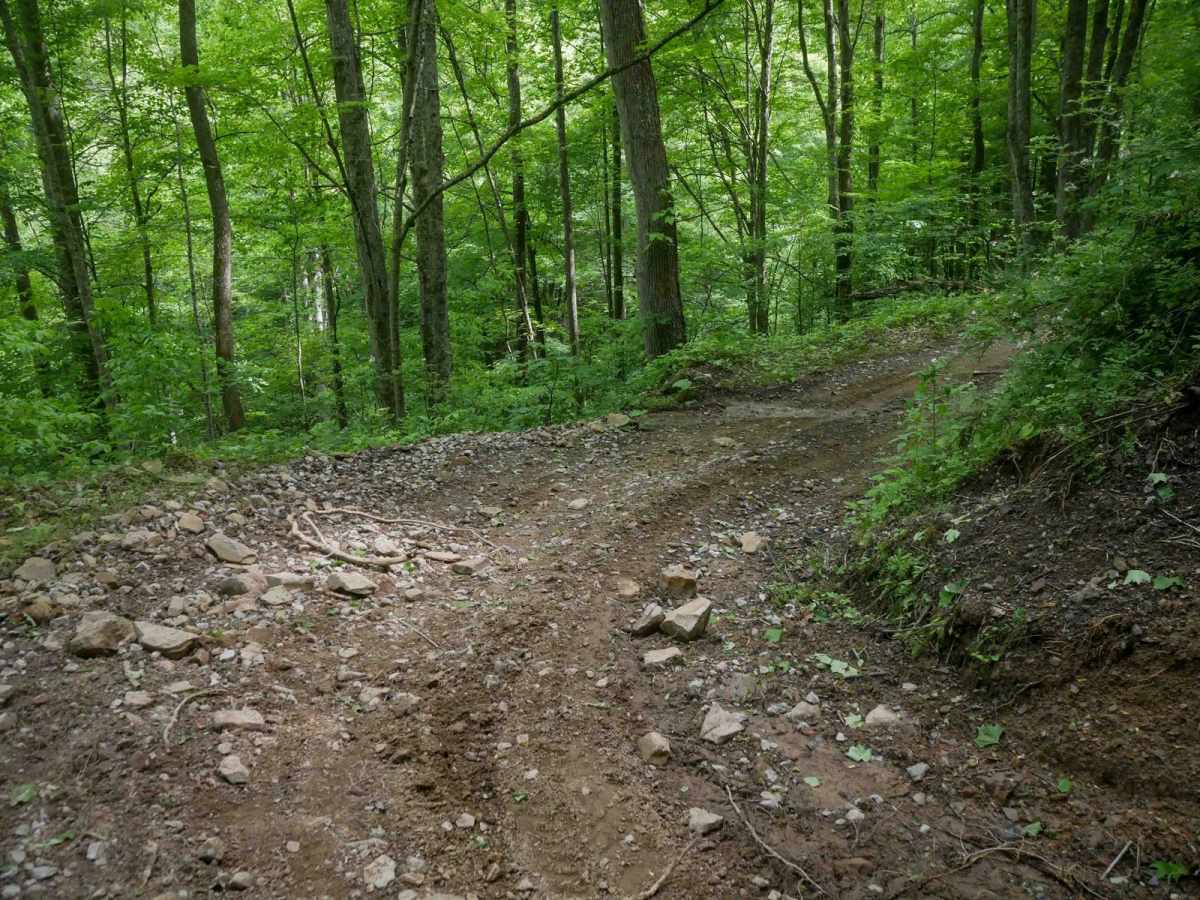 MV8 trail photo