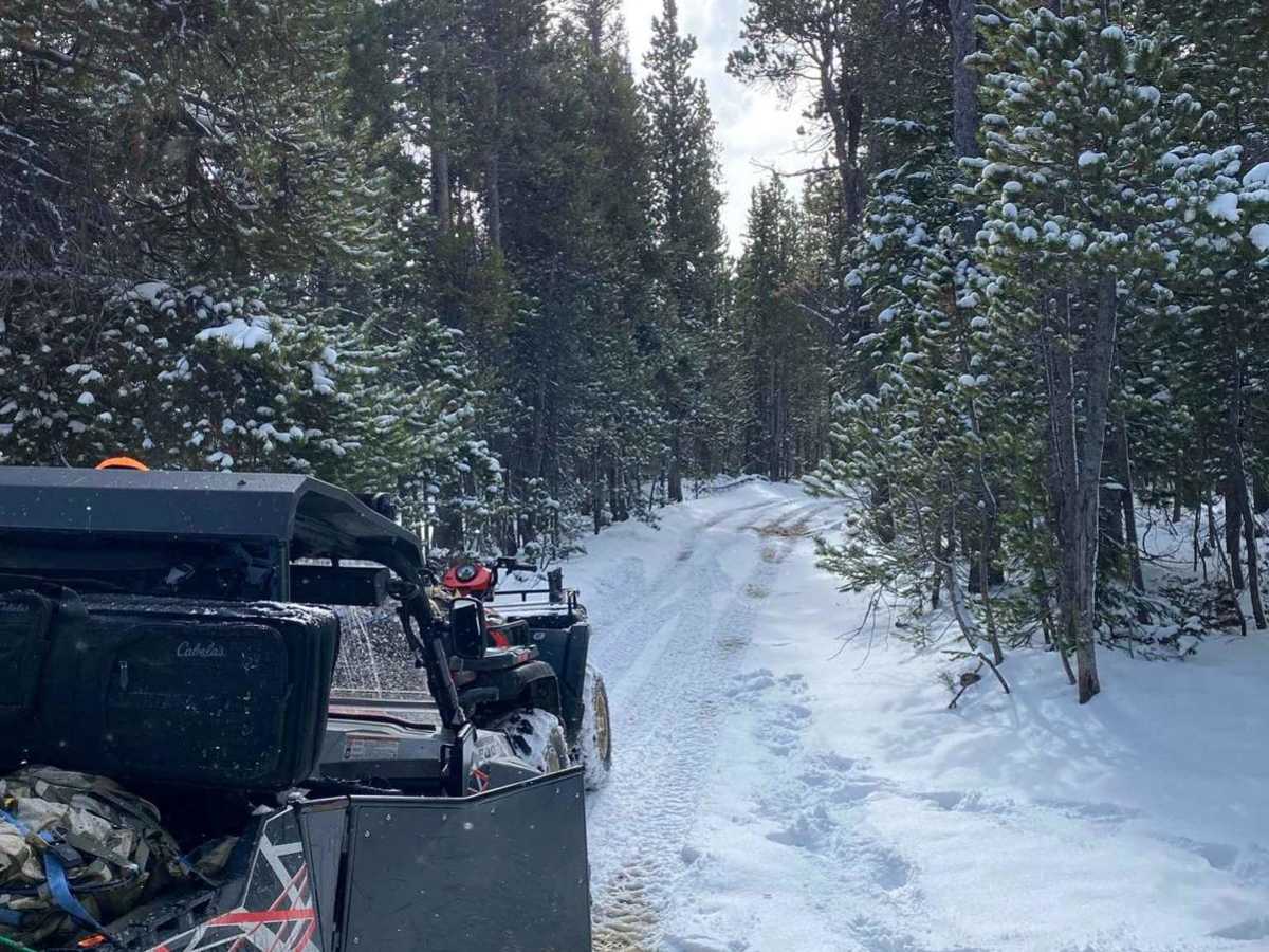 USFS Road 307 - Centennial Ridge photo 5