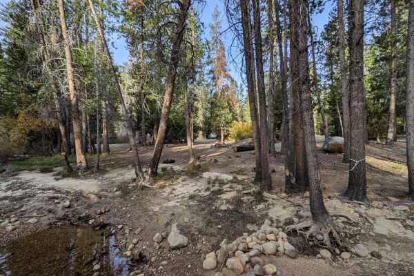 Mono Creek Gauge