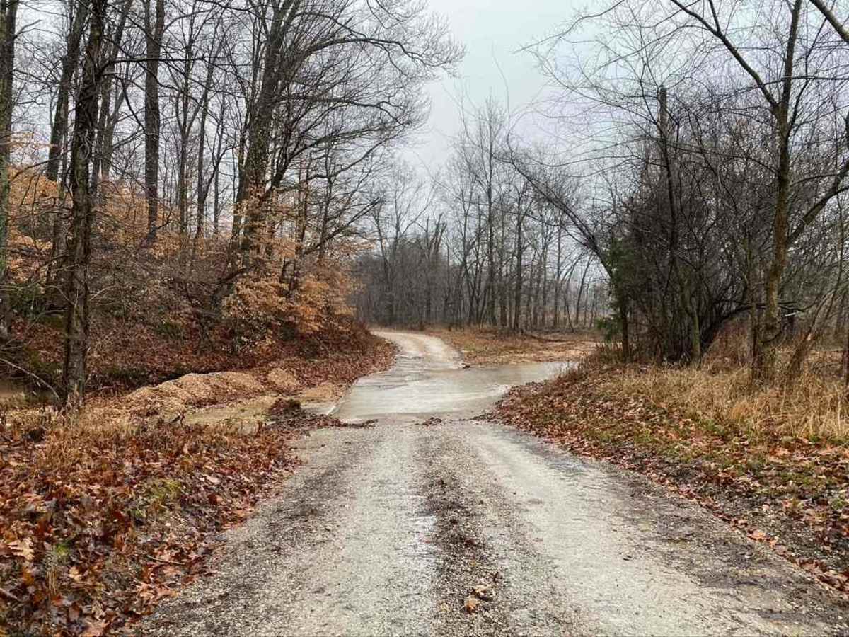 Wilderness Retreat Road trail photo