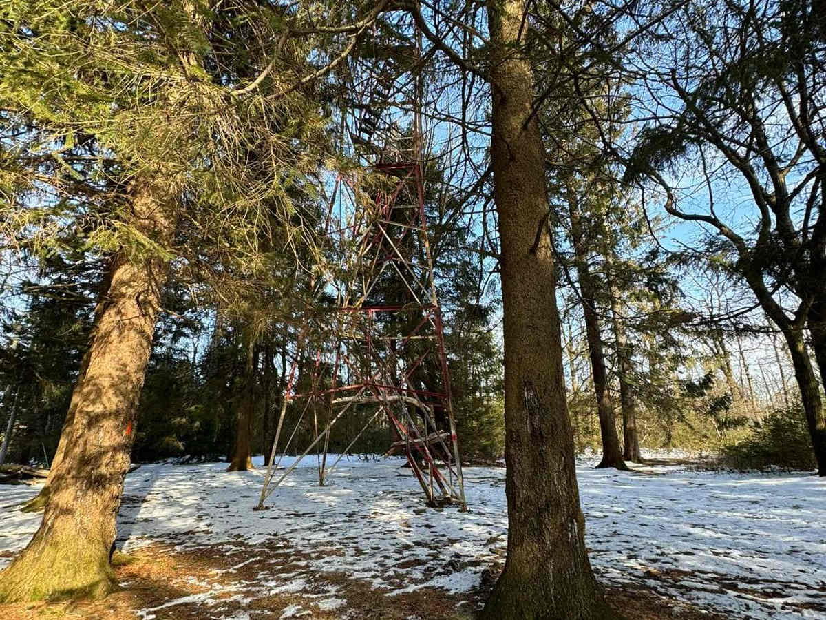 Little Flat Tower Road trail photo
