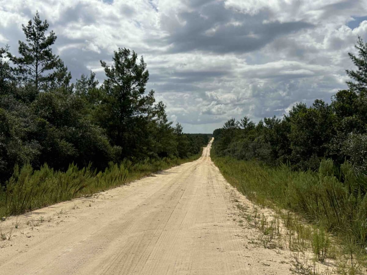 Barbarossa Trail - ONF 54 photo 5