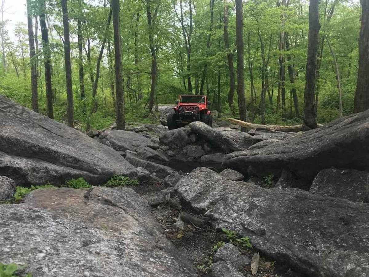 Yellow Jacket Ridge Black trail photo