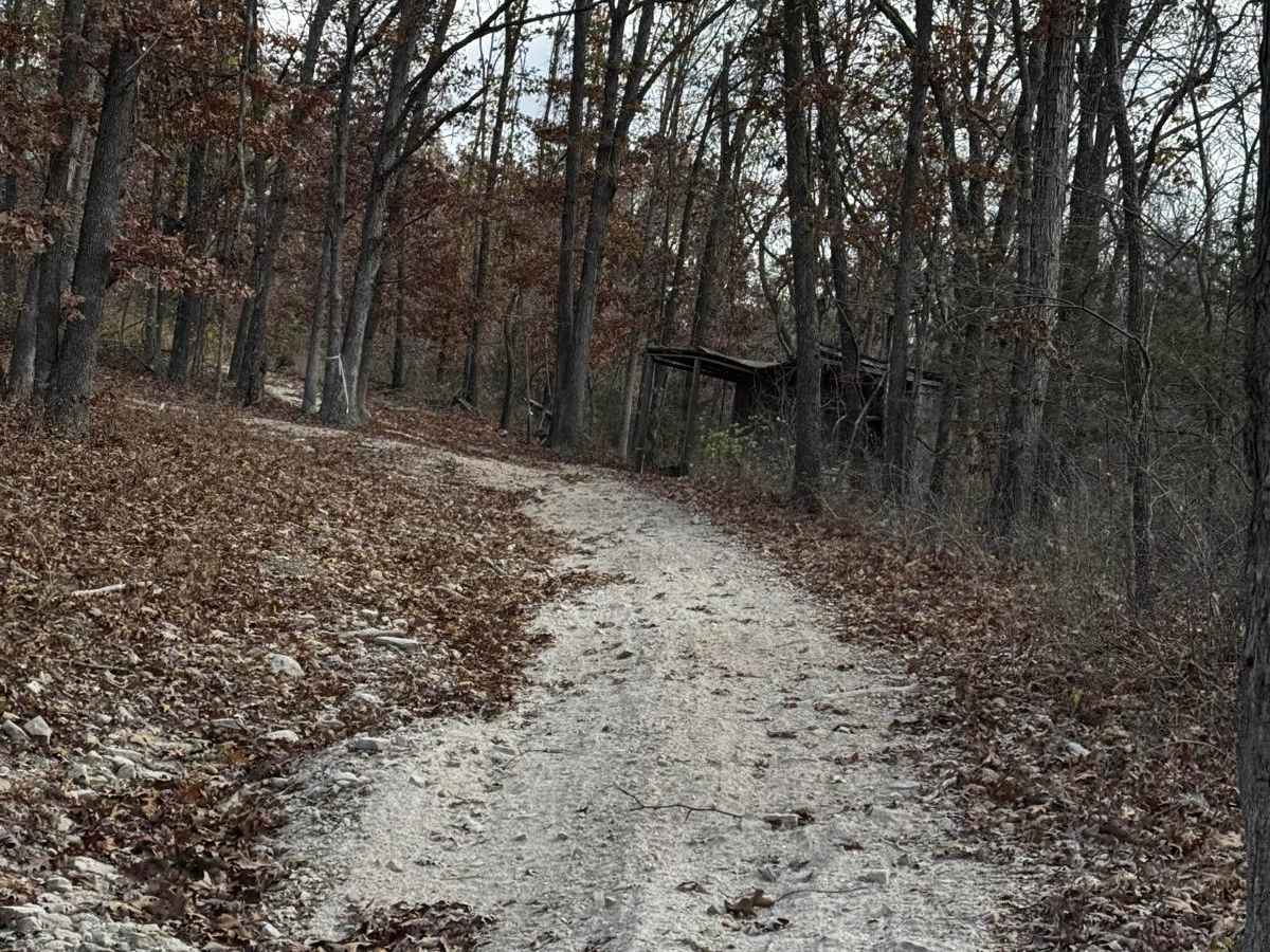 Cabin Access Trail trail photo