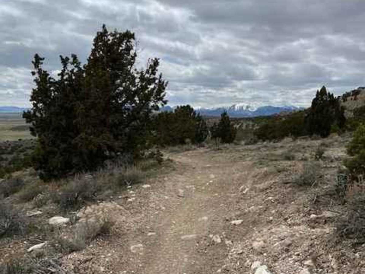 Gunsight photo 2