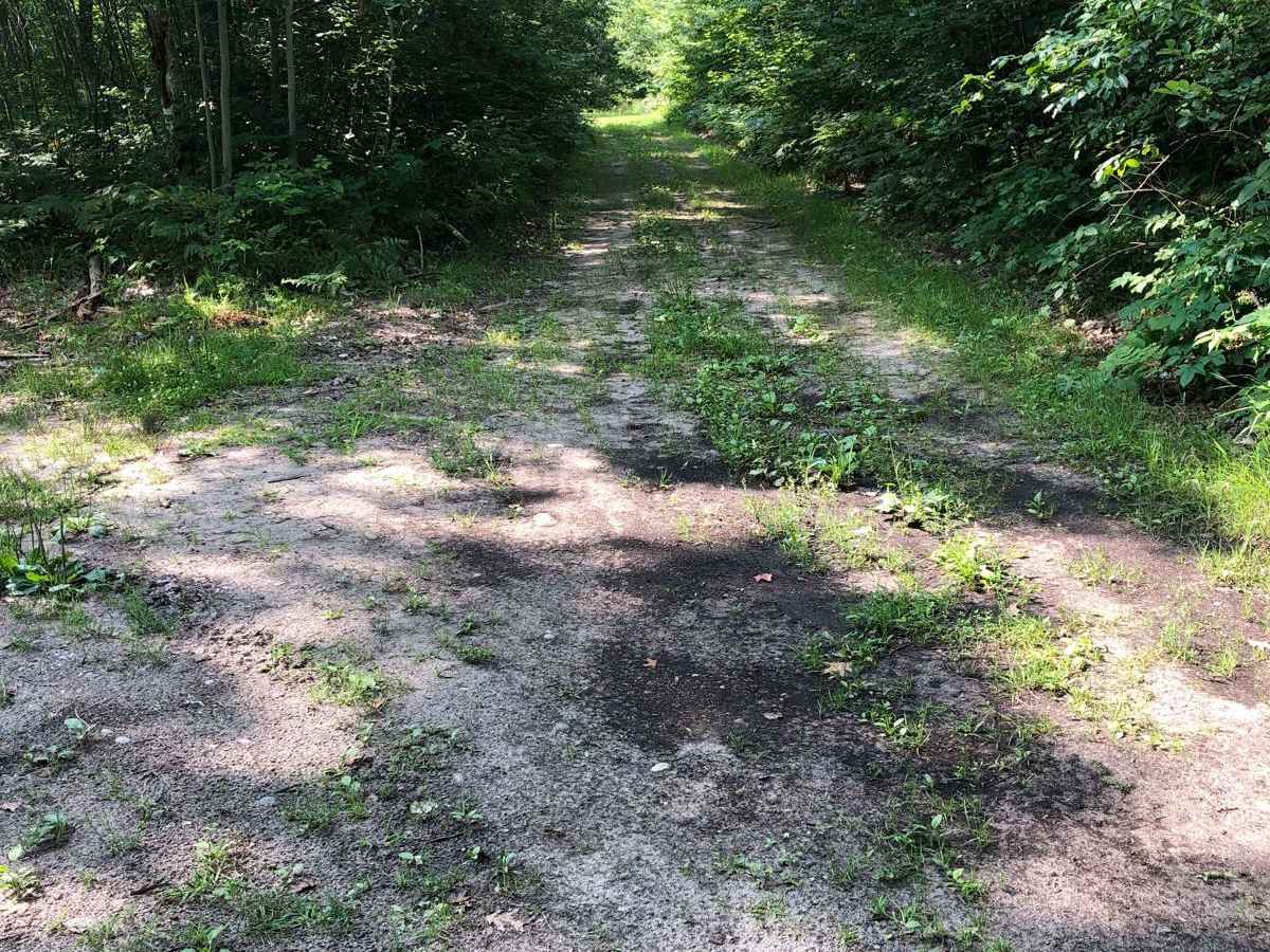 Friedrick Road photo 4