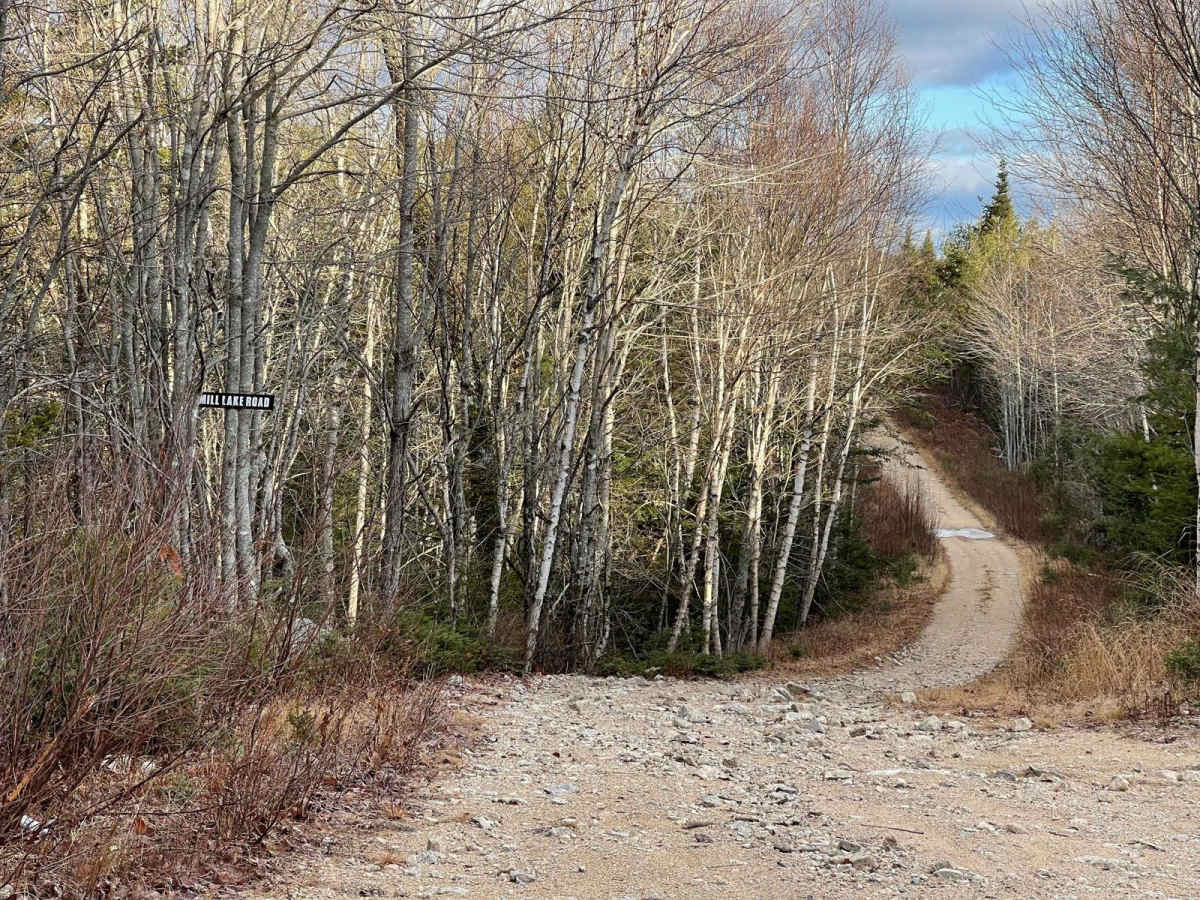 Mill Lake Road trail photo