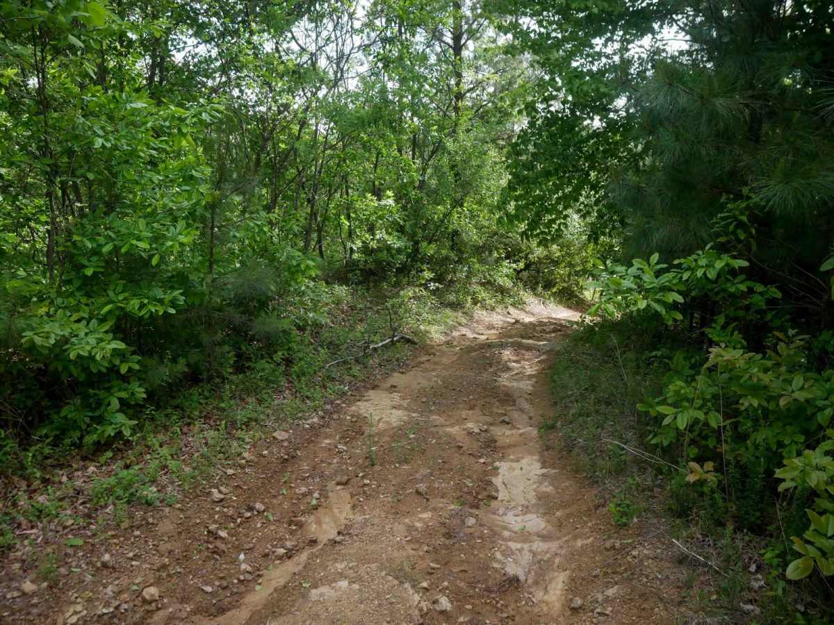 RV26 photo 5