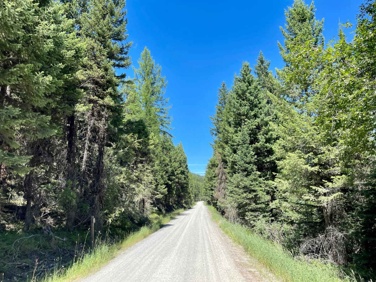 Wild Bill OHV Trailhead photo 3