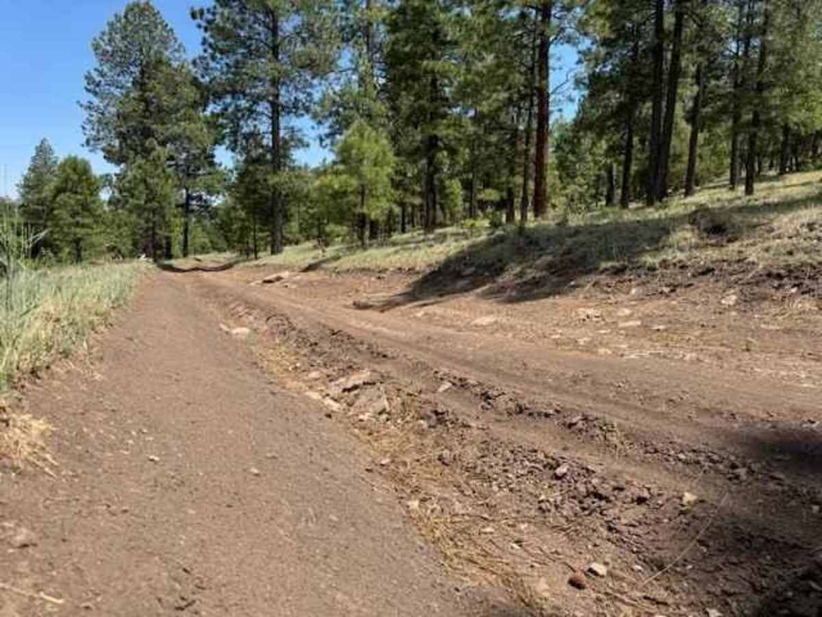 Meadow Loop photo 5