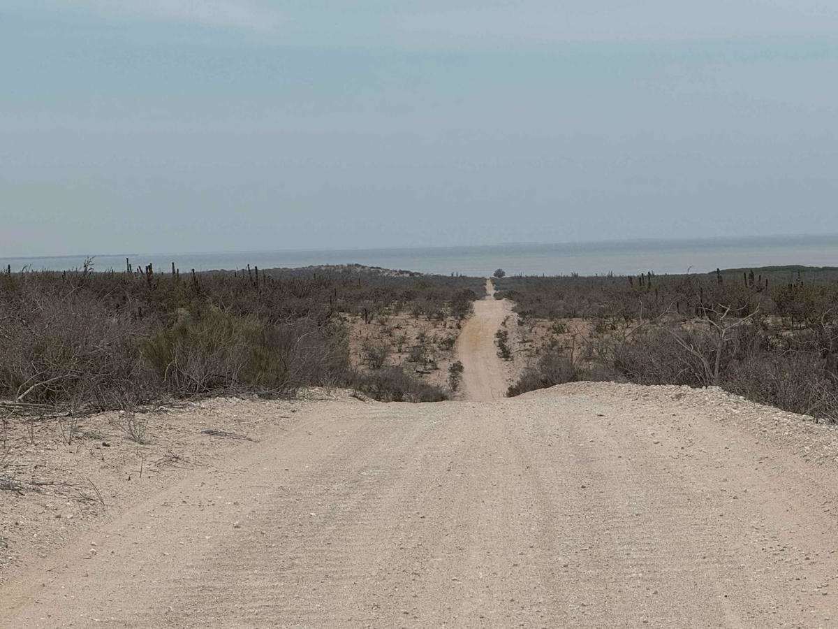 El Alhuate Loop photo 3
