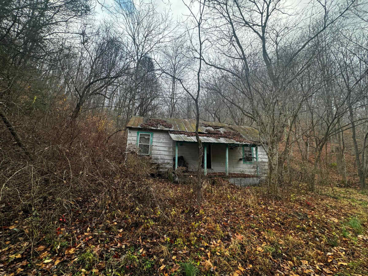 Johnson Hollow photo 3