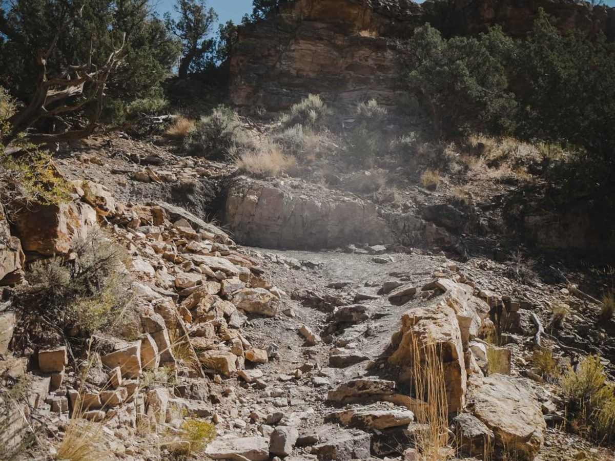 Lower Spring Creek Trail trail photo