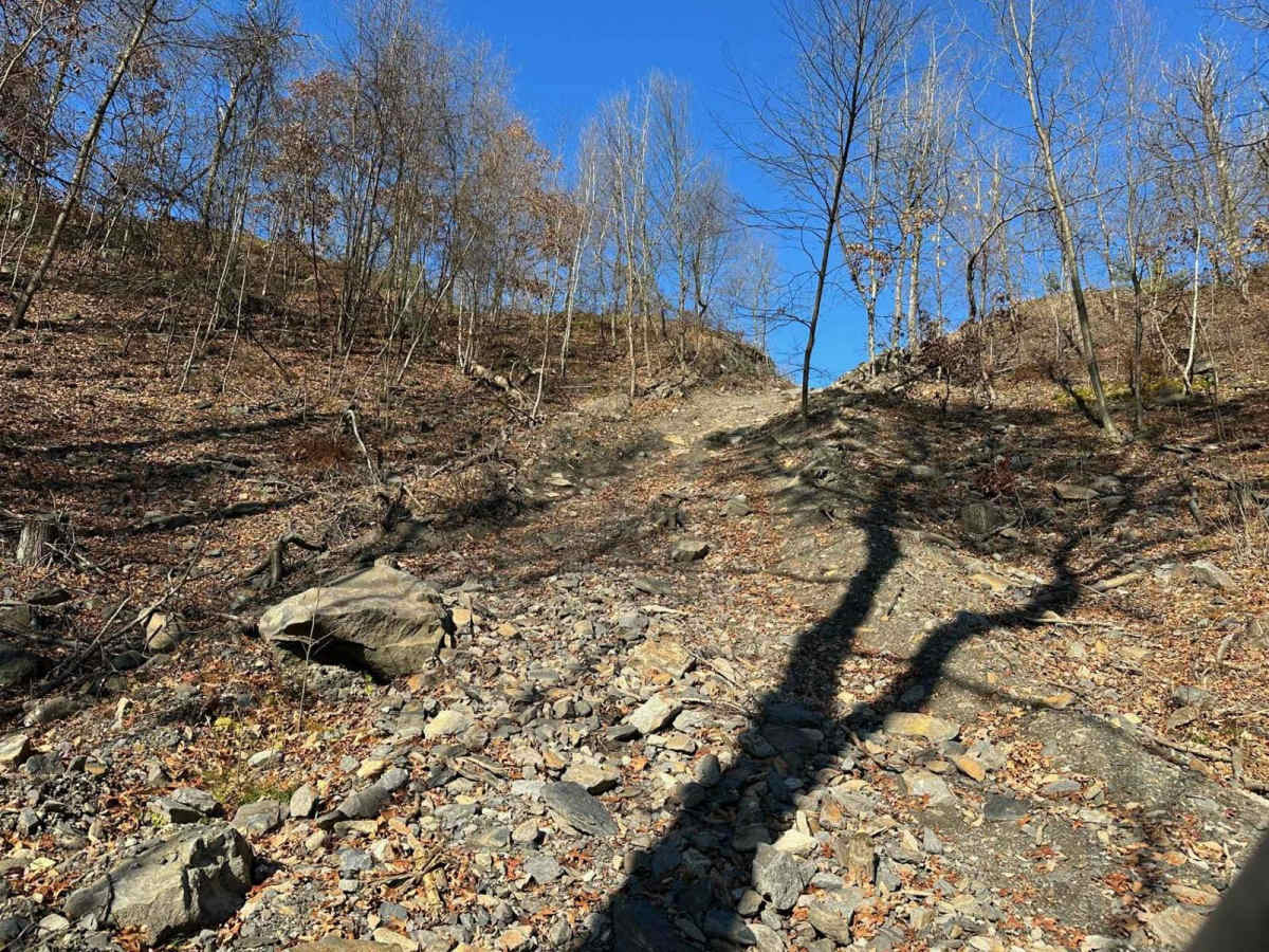 Darkwater 83 photo 3