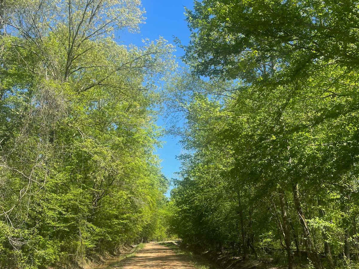 Sugar Creek Road photo 3