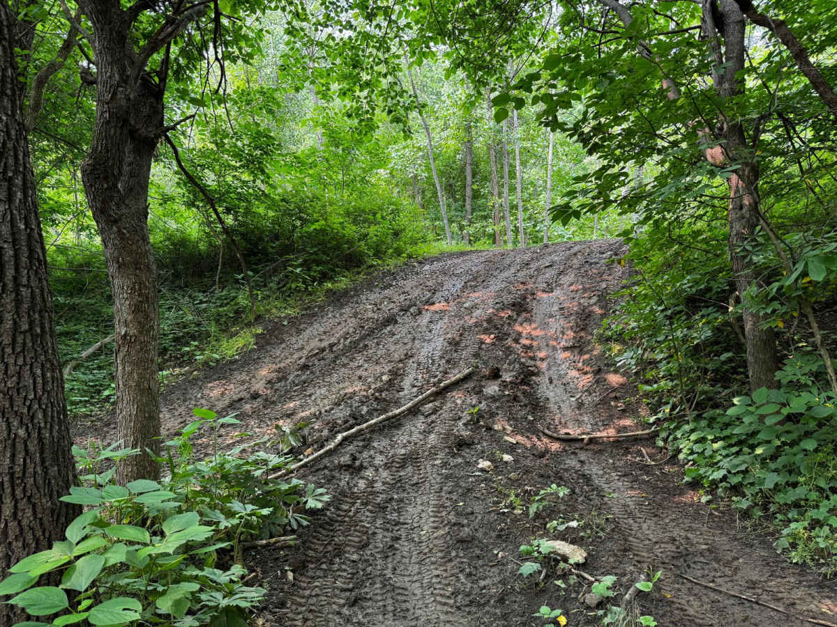 Green 56 photo 3