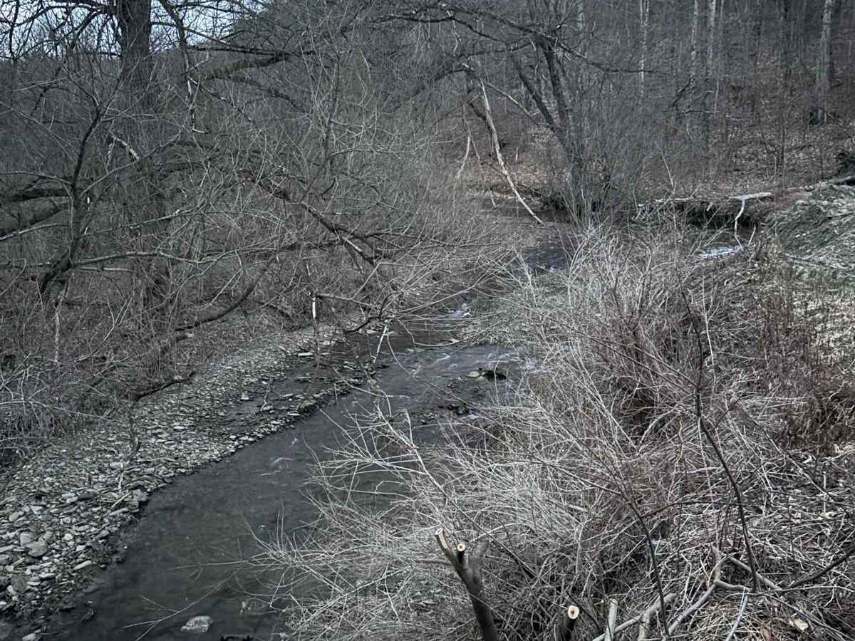 Walker Road photo 4