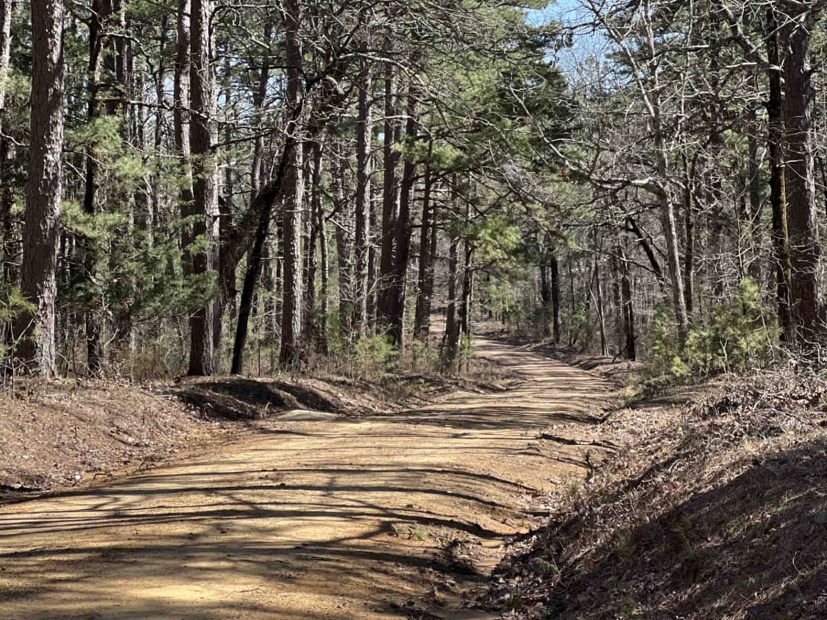 Cove Creek Lake/Link Mountain Road 210 photo 2